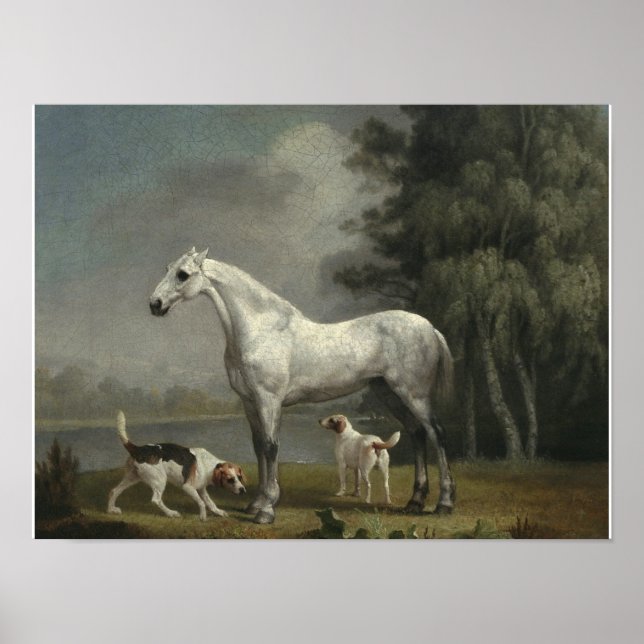 George Stubbs - A Dapple Grey Hunter Poster (Front)