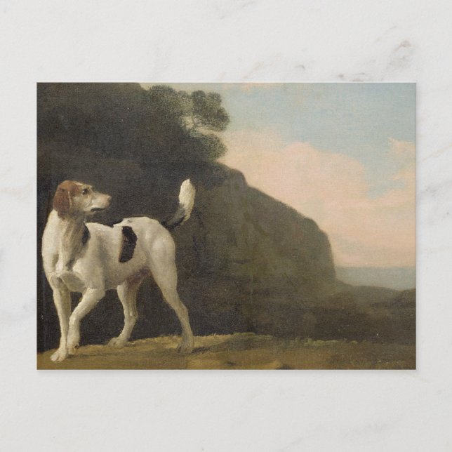 George Stubbs | A Foxhound, c.1760 (oil on paper l Postcard (Front)