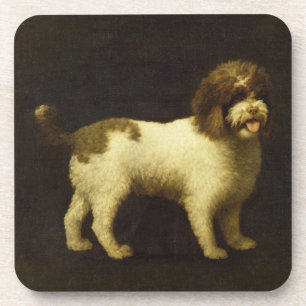 George Stubbs A Water Spaniel, 1769 (oil on canv Coaster