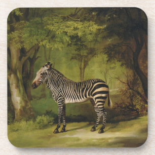 George Stubbs A Zebra, 1763 (oil on canvas) Coaster