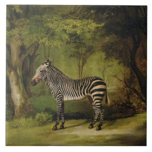 George Stubbs A Zebra, 1763 (oil on canvas) Tile