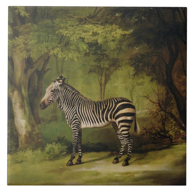 George Stubbs | A Zebra, 1763 (oil on canvas) Tile (Front)