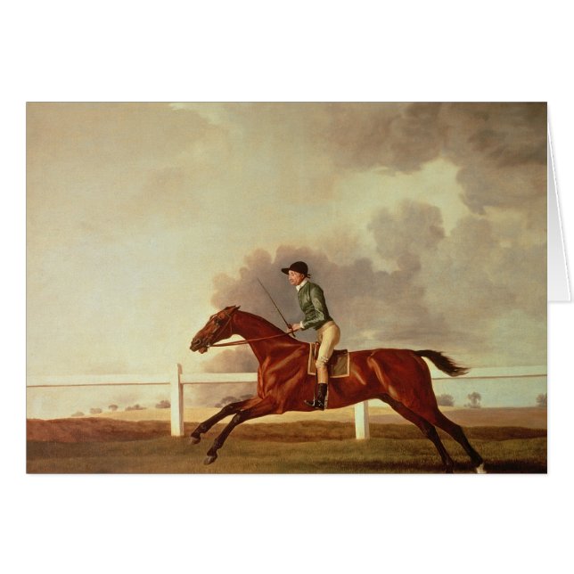 George Stubbs | Bay Malton with John Singleton Up, (Front Horizontal)