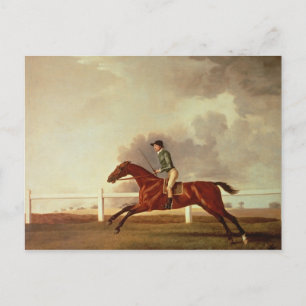 George Stubbs   Bay Malton with John Singleton Up, Postcard