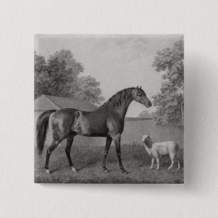 George Stubbs Dungannon, engraved by George Town 15 Cm Square Badge