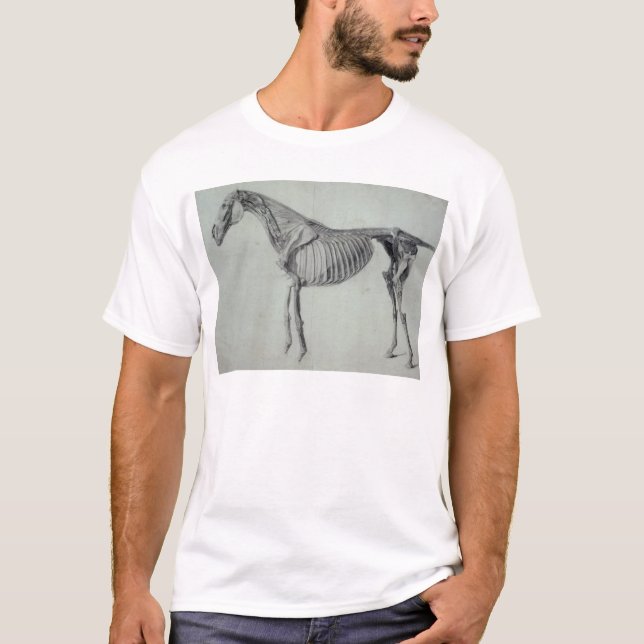 George Stubbs | Finished Study for the Fifth Anato T-Shirt (Front)