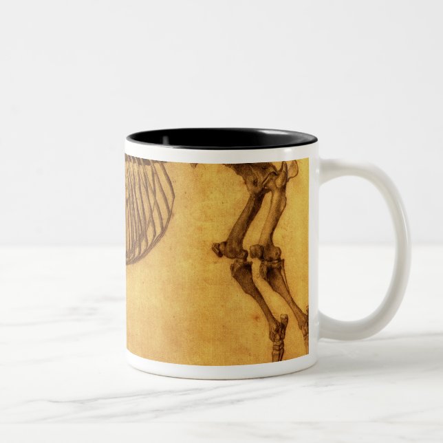 George Stubbs | Finished Study for the First Skele Two-Tone Coffee Mug (Right)