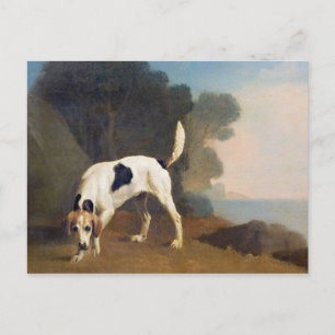 George Stubbs   Foxhound on the Scent, c.1760 (oil Postcard