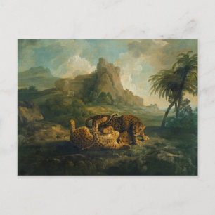 George Stubbs   Leopards at Play, c.1763-8 Postcard