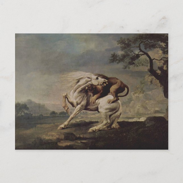 George Stubbs- Lion Attacking a Horse Postcard (Front)