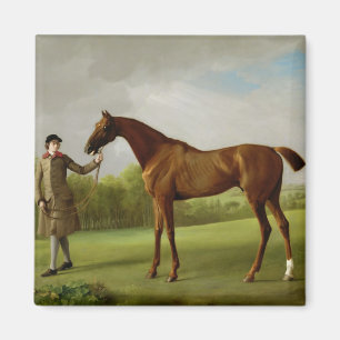 George Stubbs   Lustre, held by a Groom, c.1760-62 Magnet