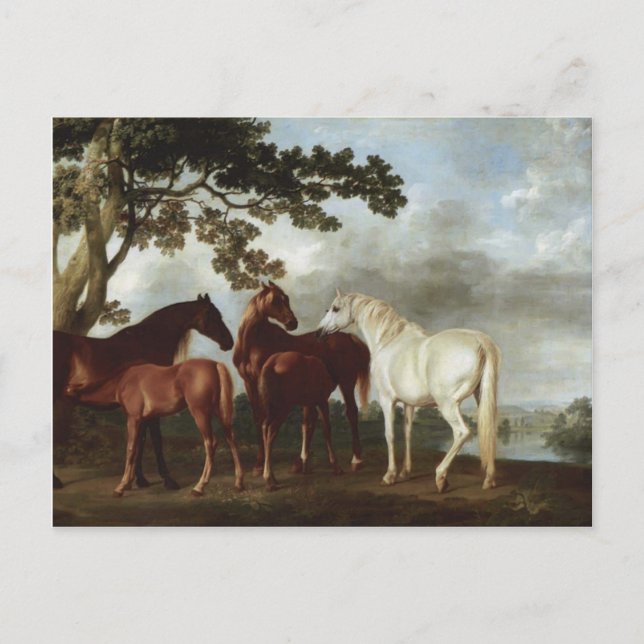 George Stubbs-Mares and Foals in a River Landscape Postcard (Front)