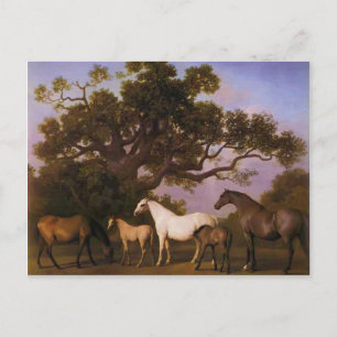 George Stubbs- Mares and Foals under an Oak Tree Postcard