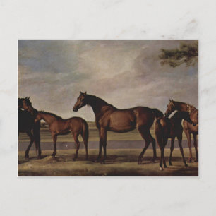 George Stubbs-Mares,foals before a looming storm Postcard