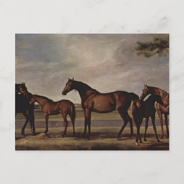 George Stubbs-Mares,foals before a looming storm Postcard (Front)