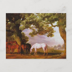 George Stubbs- Mares & Foals in a Wooded Landscape Postcard