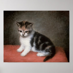 George Stubbs Miss Ann White's Kitten, 1790 Poster