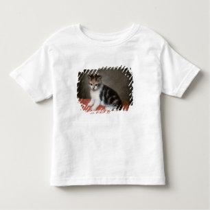 George Stubbs Miss Ann White's Kitten, 1790 Toddler T-Shirt