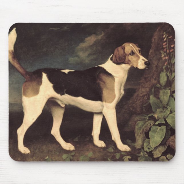 George Stubbs | Ringwood, a Brocklesby Foxhound, 1 Mouse Pad (Front)