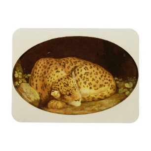 George Stubbs   Sleeping Leopard, 1777 (enamel on  Magnet