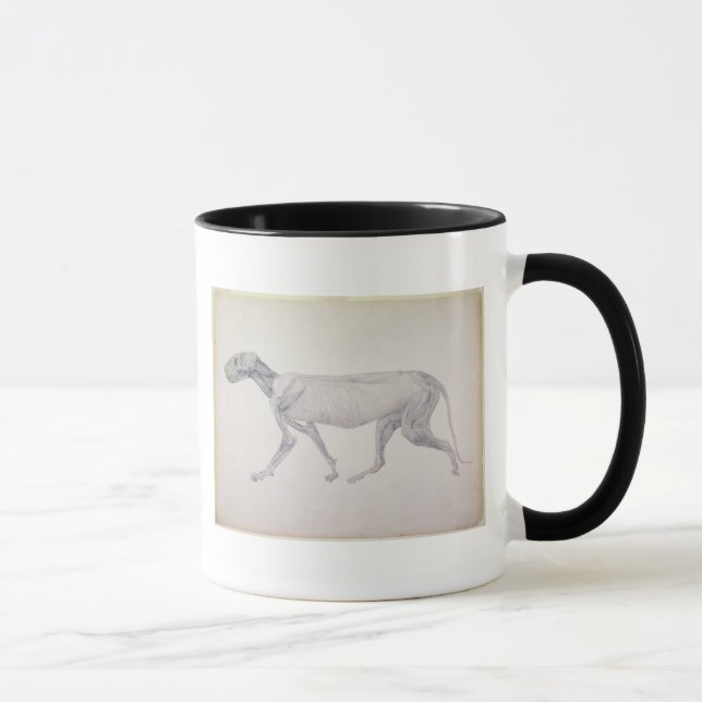 George Stubbs | Tiger: Lateral View, Partially Dis Mug (Right)