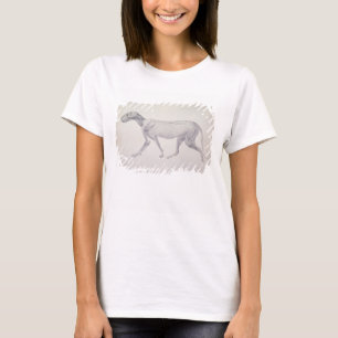 George Stubbs Tiger: Lateral View, Partially Dis T-Shirt