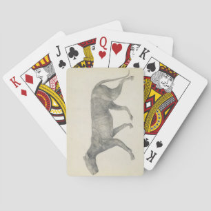 George Stubbs Tiger: Lateral View, with Skin and Playing Cards