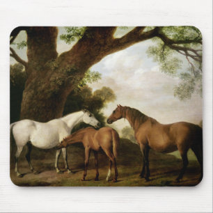 George Stubbs   Two Shafto Mares and a Foal, 1774 Mouse Pad