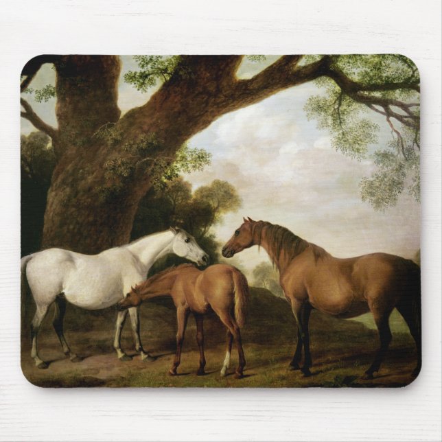 George Stubbs | Two Shafto Mares and a Foal, 1774 Mouse Pad (Front)