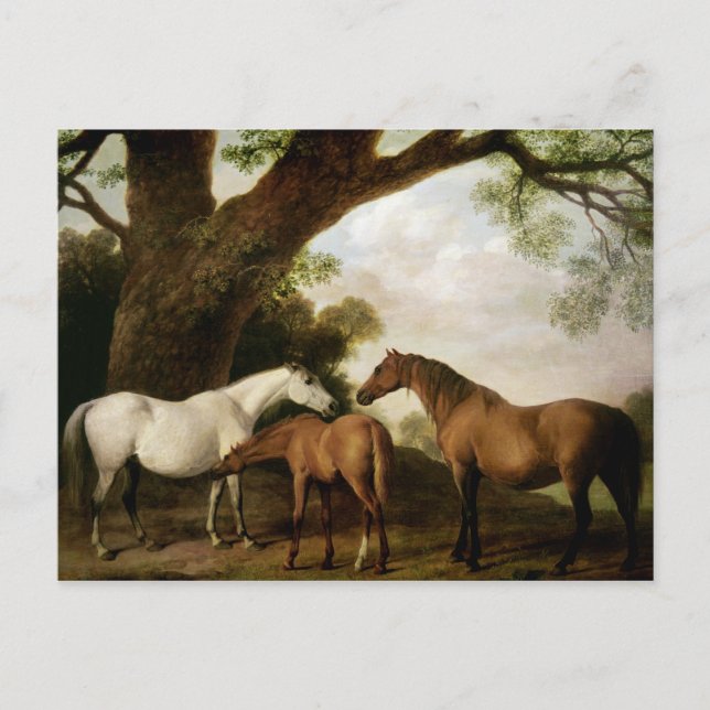 George Stubbs | Two Shafto Mares and a Foal, 1774 Postcard (Front)