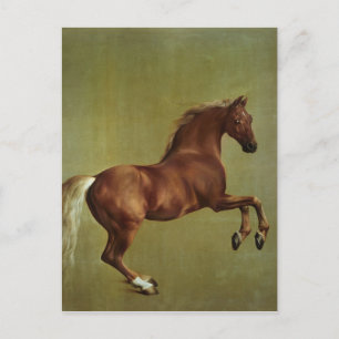 George Stubbs Whistlejacket, 1762 Postcard