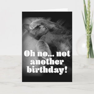 George the cat birthday card