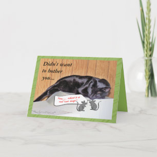 George the Cat-Get Well -customise any occasion Card