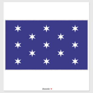 George Washington's Commander in Chief Flag