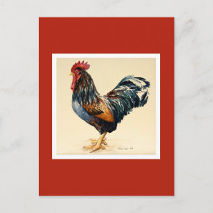 George's Cockerel 2007 Postcard