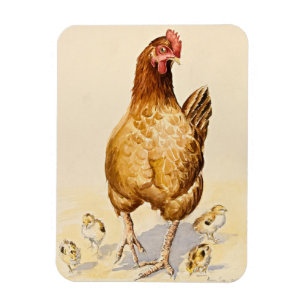George's Hen and her Chicks 2007 Magnet