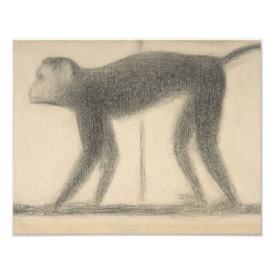 Georges Seurat - Monkey Photo Print