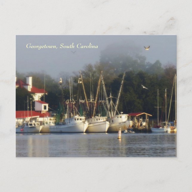 Georgetown Shrimp Boats Souvenir Postcard (Front)