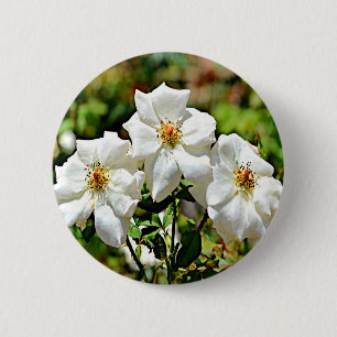 Georgia Cherokee Rose 2 6 Cm Round Badge