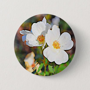 Georgia Cherokee Rose 6 Cm Round Badge