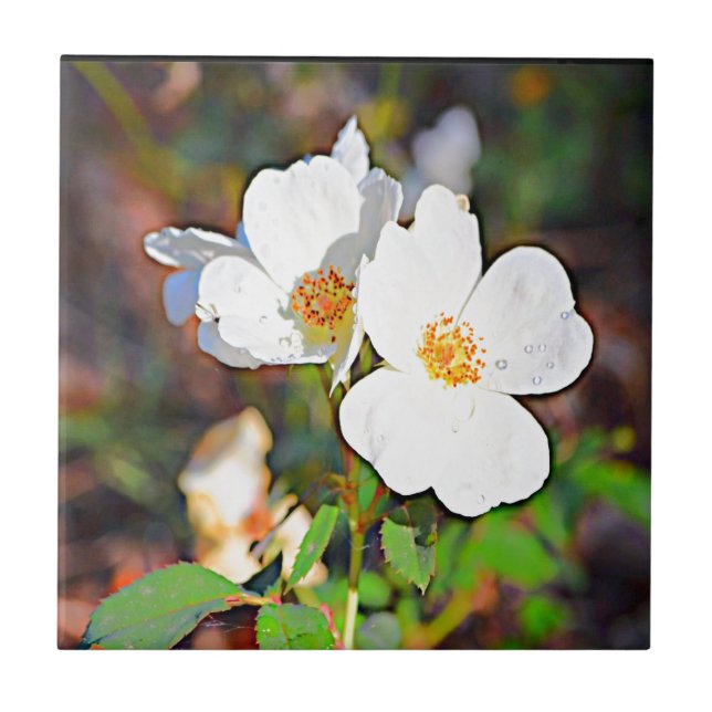 Georgia Cherokee Rose Tile (Front)