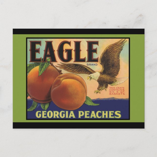 Georgia Eagle Peaches Postcard (Front)