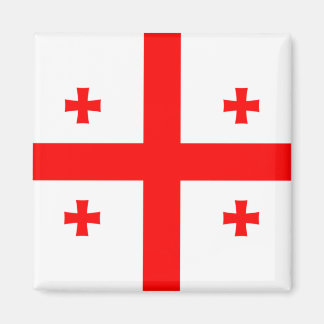 Georgia Flag Magnet