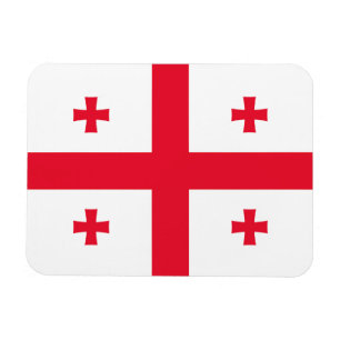 Georgia Flag Magnet