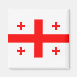 Georgia Flag Magnet