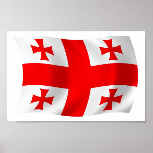Georgia Flag Poster Print