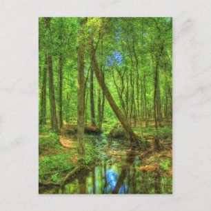 Georgia Landscape Postcard