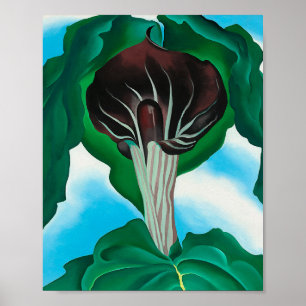 georgia okeeffe, art, poster