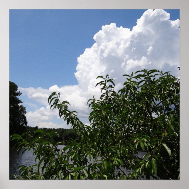 Georgia Peach Tree Fluffy White Clouds Poster (Front)
