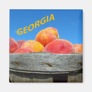 Georgia Peaches Magnet
